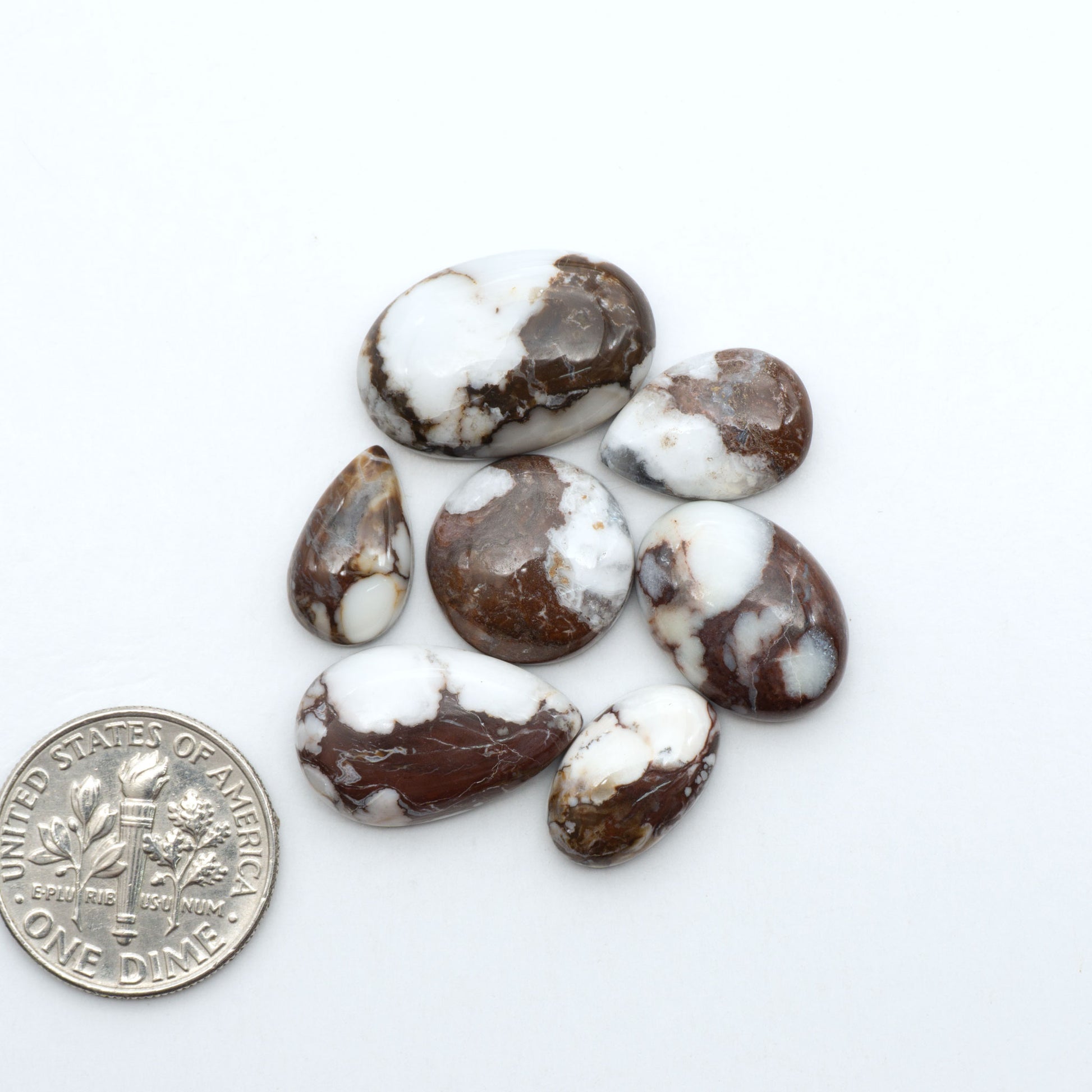 Wild Horse Magnesite cabochons, white gemstones with brown matrix on a white background, with a US dime for scale