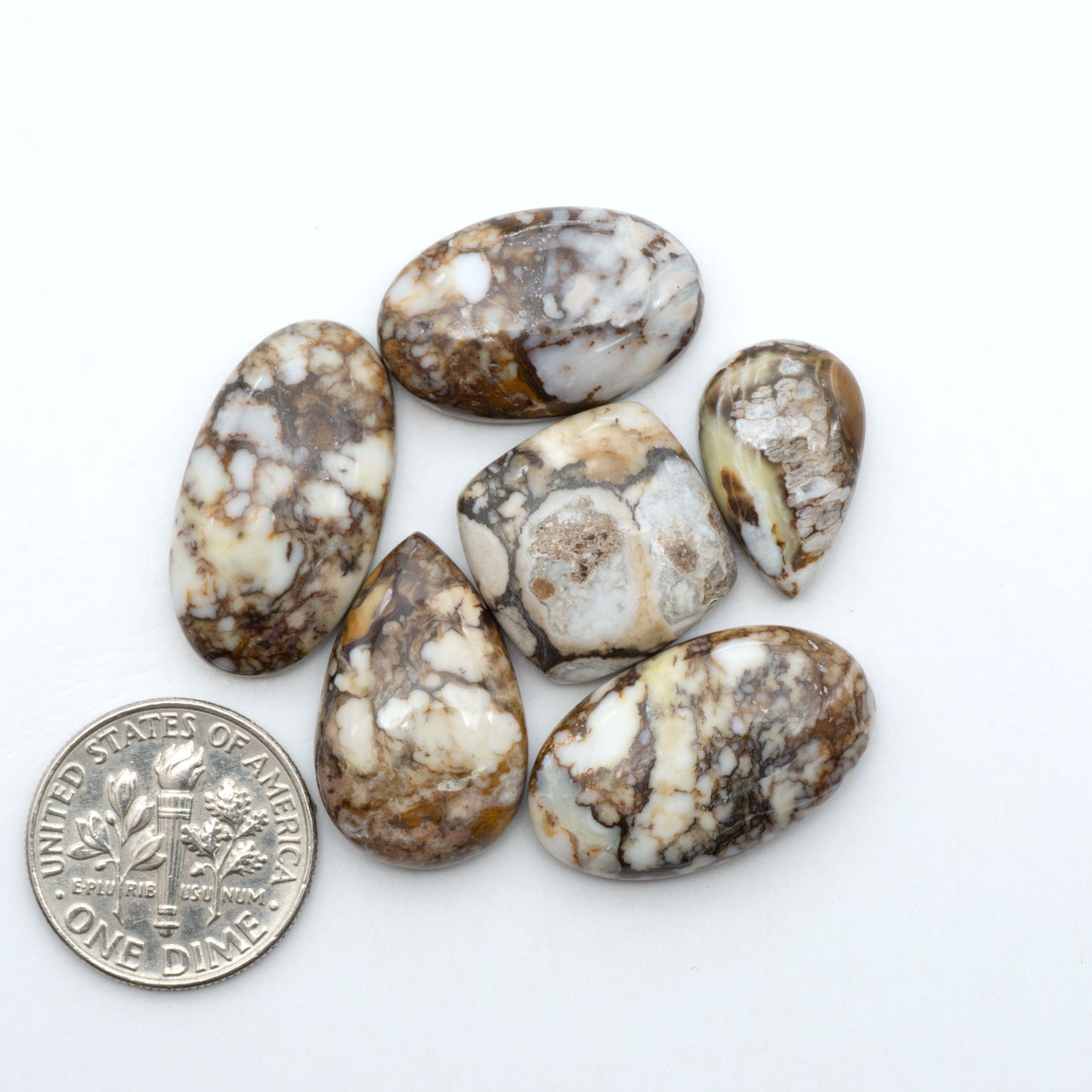 Wild Horse Magnesite cabochons, white gemstones with brown matrix on a white background, with a US dime for scale