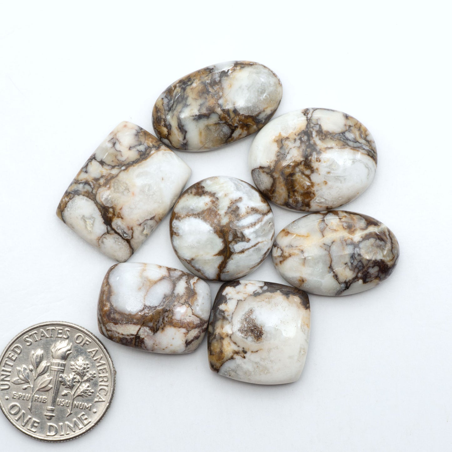 Wild Horse Magnesite cabochons, white gemstones with brown matrix on a white background, with a US dime for scale