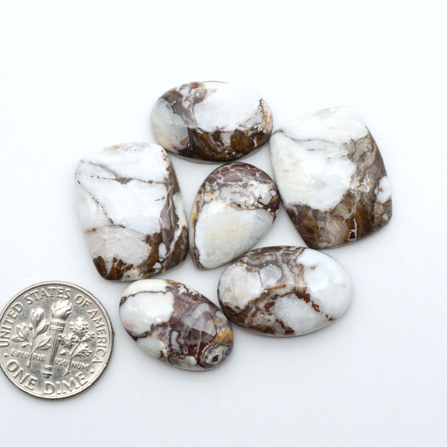 Wild Horse Magnesite cabochons, white gemstones with brown matrix on a white background, with a US dime for scale