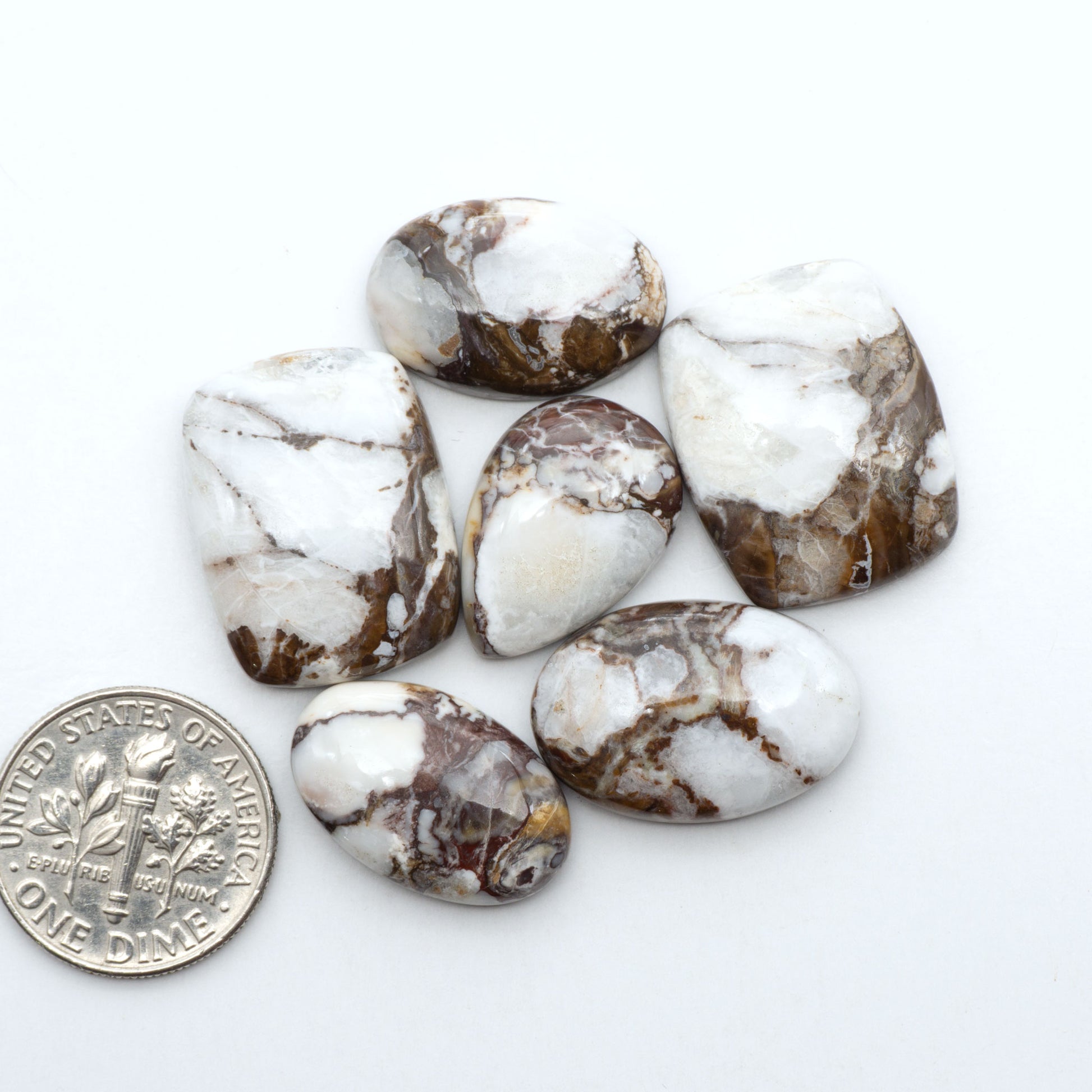Wild Horse Magnesite cabochons, white gemstones with brown matrix on a white background, with a US dime for scale