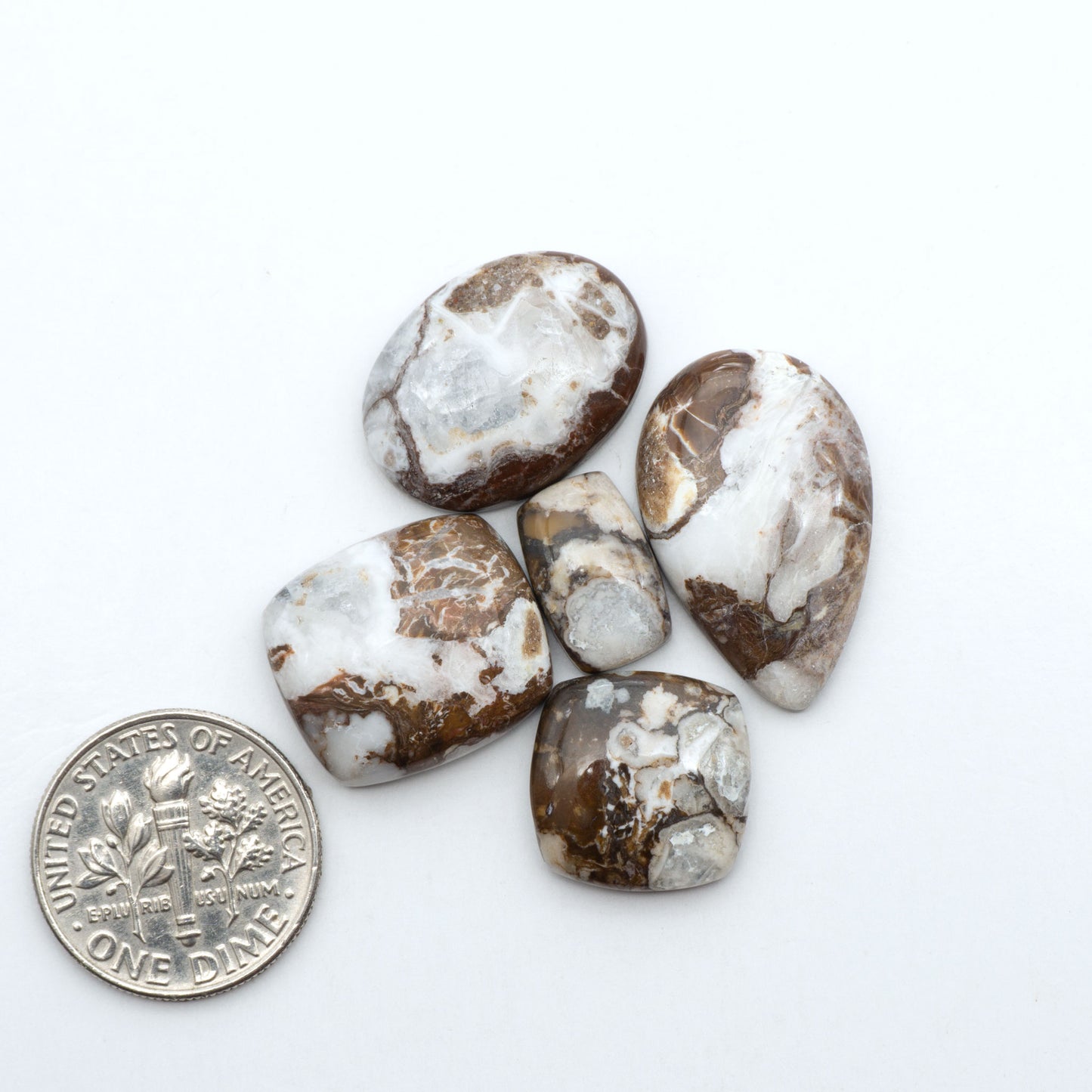 Wild Horse Magnesite cabochons, white gemstones with brown matrix on a white background, with a US dime for scale