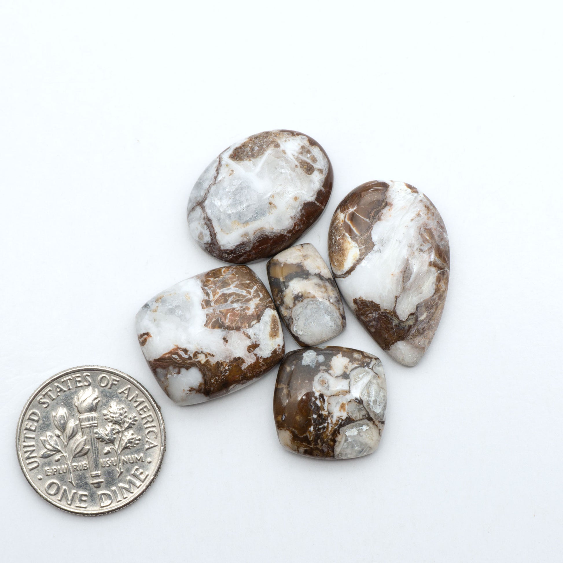 Wild Horse Magnesite cabochons, white gemstones with brown matrix on a white background, with a US dime for scale