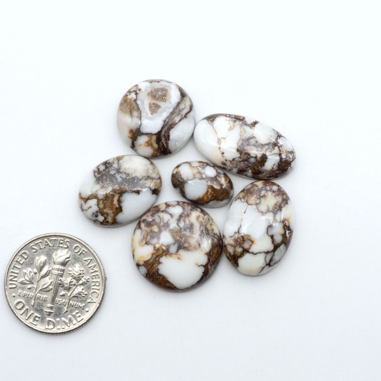 Wild Horse Magnesite cabochons, white gemstones with brown matrix on a white background, with a US dime for scale