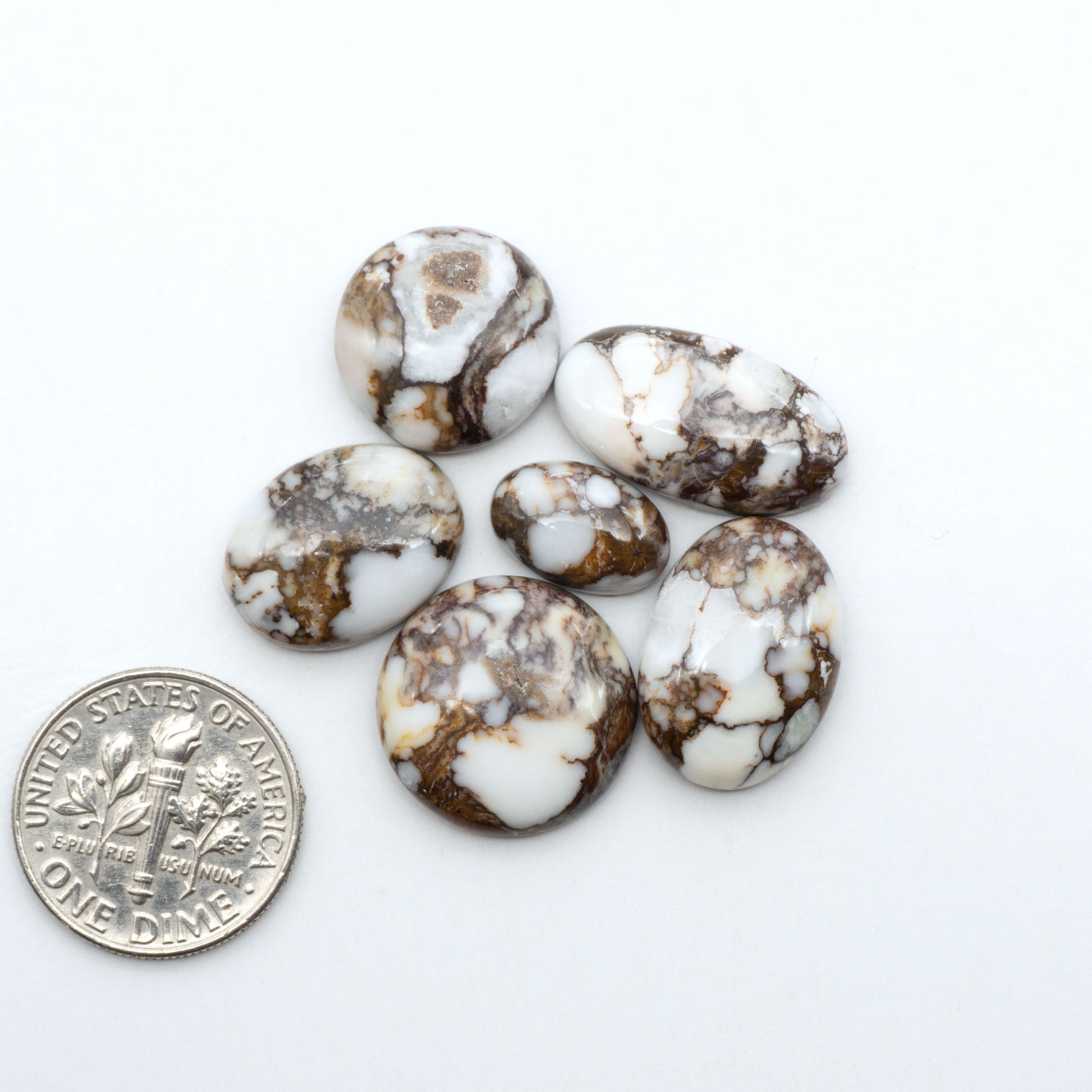 Wild Horse Magnesite cabochons, white gemstones with brown matrix on a white background, with a US dime for scale