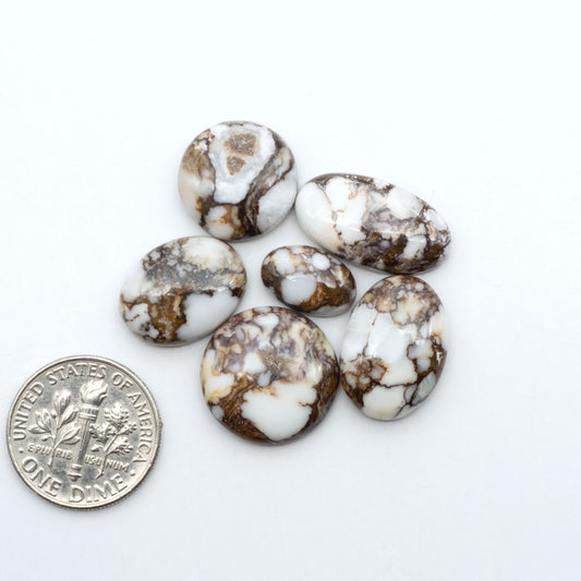 Wild Horse Magnesite cabochons, white gemstones with brown matrix on a white background, with a US dime for scale