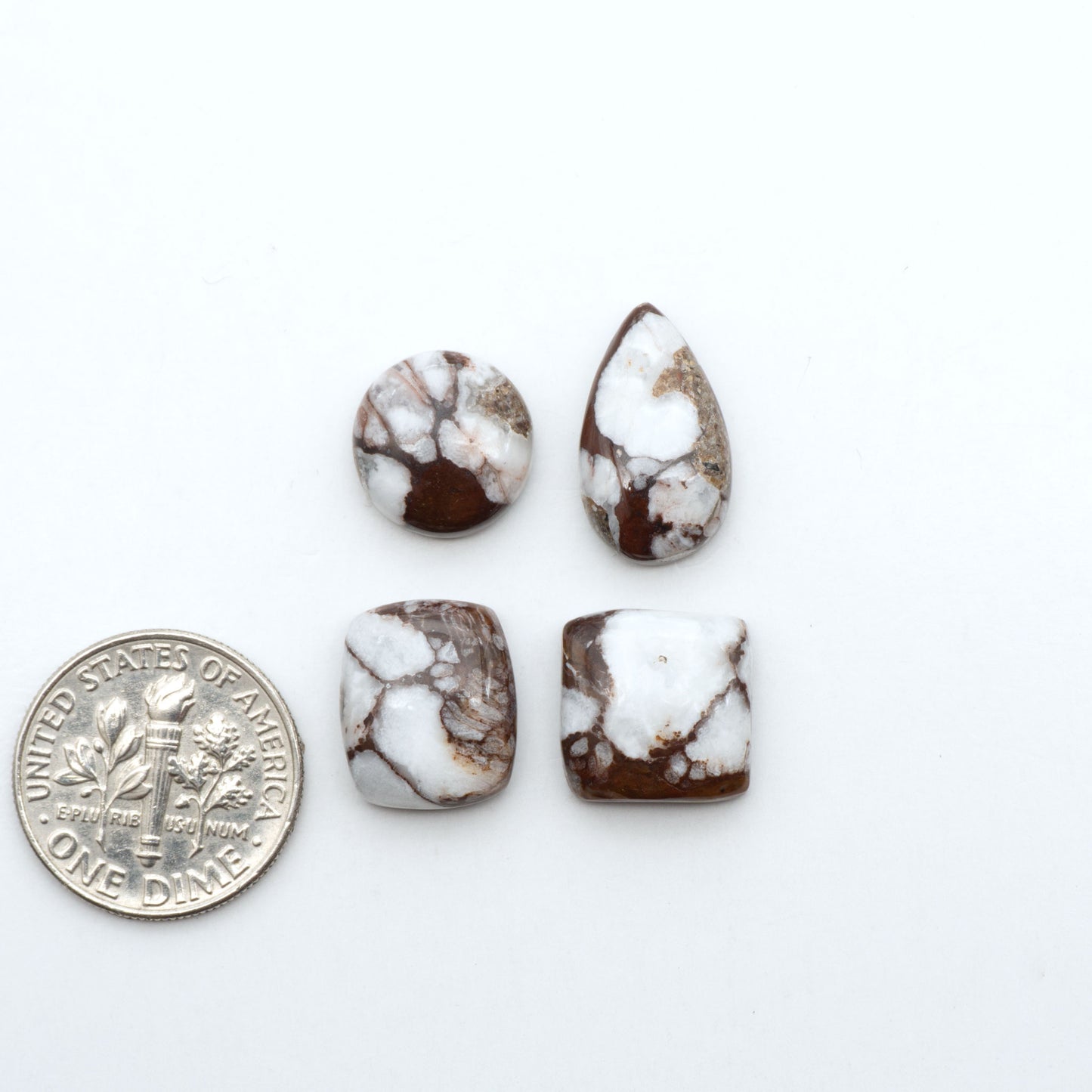 Wild Horse Magnesite cabochons, white gemstones with brown matrix on a white background, with a US dime for scale