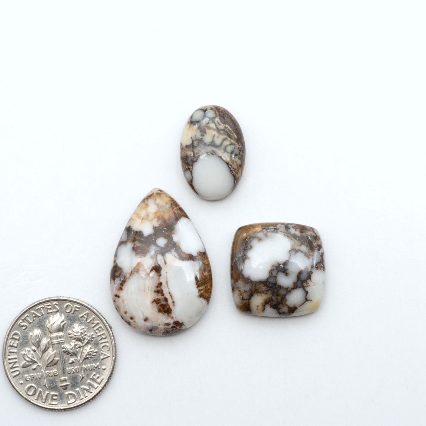 Wild Horse Magnesite cabochons, white gemstones with brown matrix on a white background, with a US dime for scale