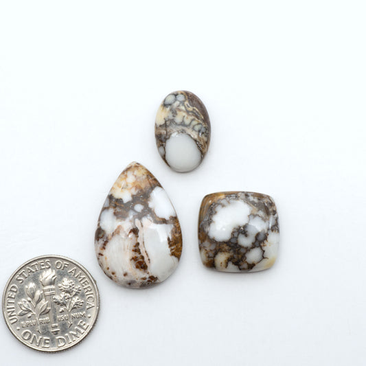 Wild Horse Magnesite cabochons, white gemstones with brown matrix on a white background, with a US dime for scale