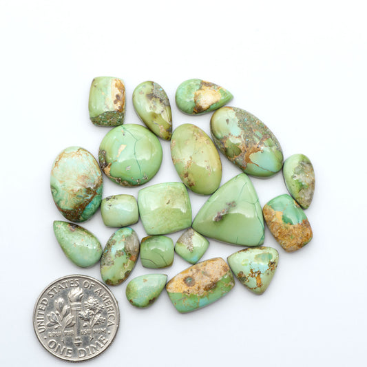 Sonoran Mountain Turquoise cabochons, blue-green color with natural matrix, polished stones on a white background, with a US dime for scale