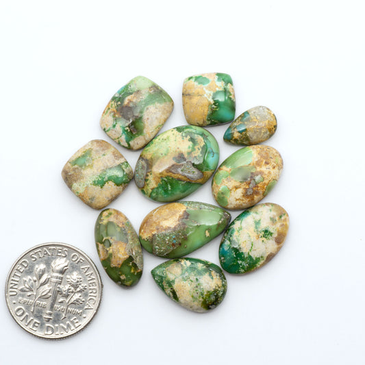 Sonoran Mountain Turquoise cabochons, blue-green color with natural matrix, polished stones on a white background, with a US dime for scale