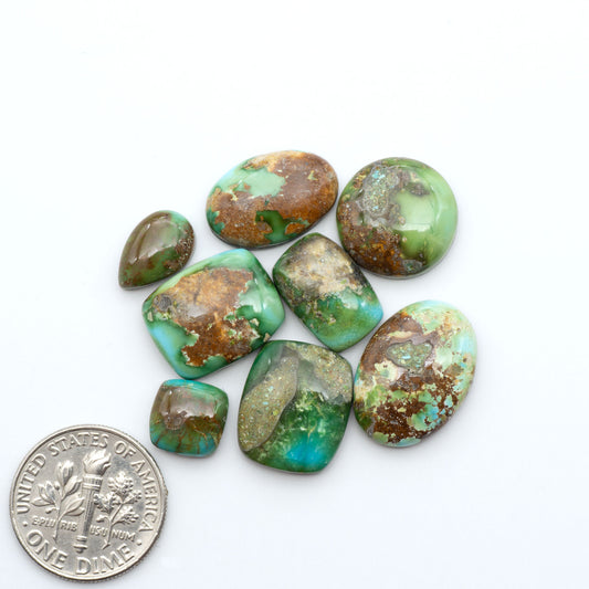 Sonoran Mountain Turquoise cabochons, blue-green color with natural matrix, polished stones on a white background, with a US dime for scale