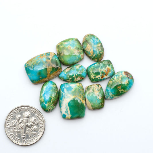Sonoran Mountain Turquoise cabochons, blue-green color with natural matrix, polished stones on a white background, with a US dime for scale