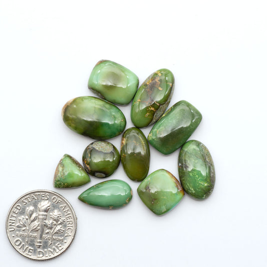 Sonoran Mountain Turquoise cabochons, blue-green color with natural matrix, polished stones on a white background, with a US dime for scale
