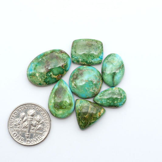 Sonoran Mountain Turquoise cabochons, blue-green color with natural matrix, polished stones on a white background, with a US dime for scale