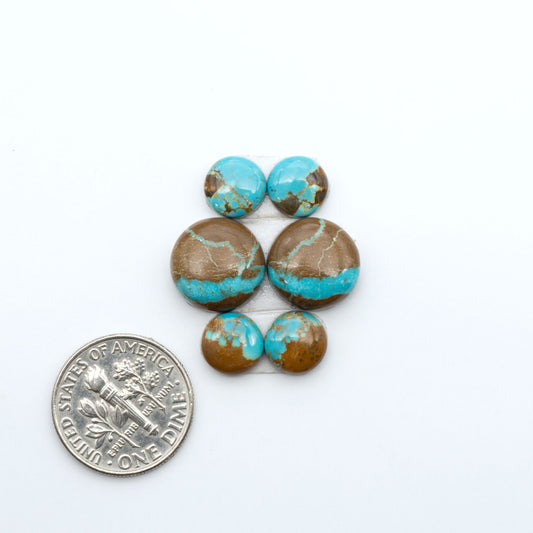 Number 8 Turquoise cabochons, blue and green color with brown matrix, polished stones on a white background, with a US dime for scale