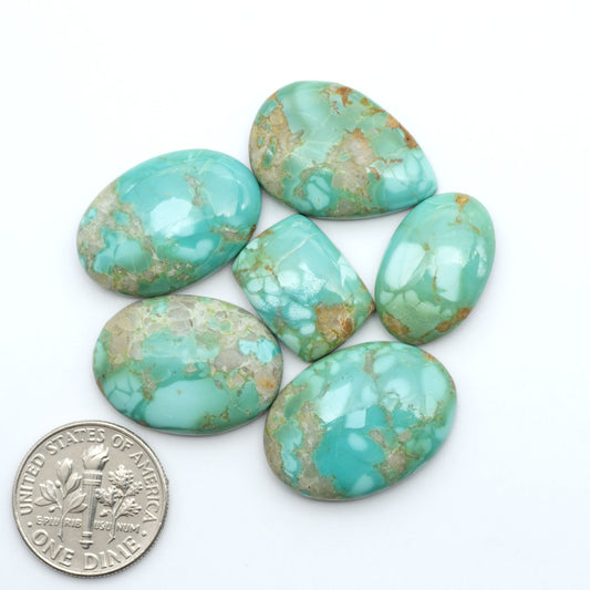 Pilot Mountain Turquoise cabochons, blue-green gemstones with natural matrix on a white background with a US dime for scale