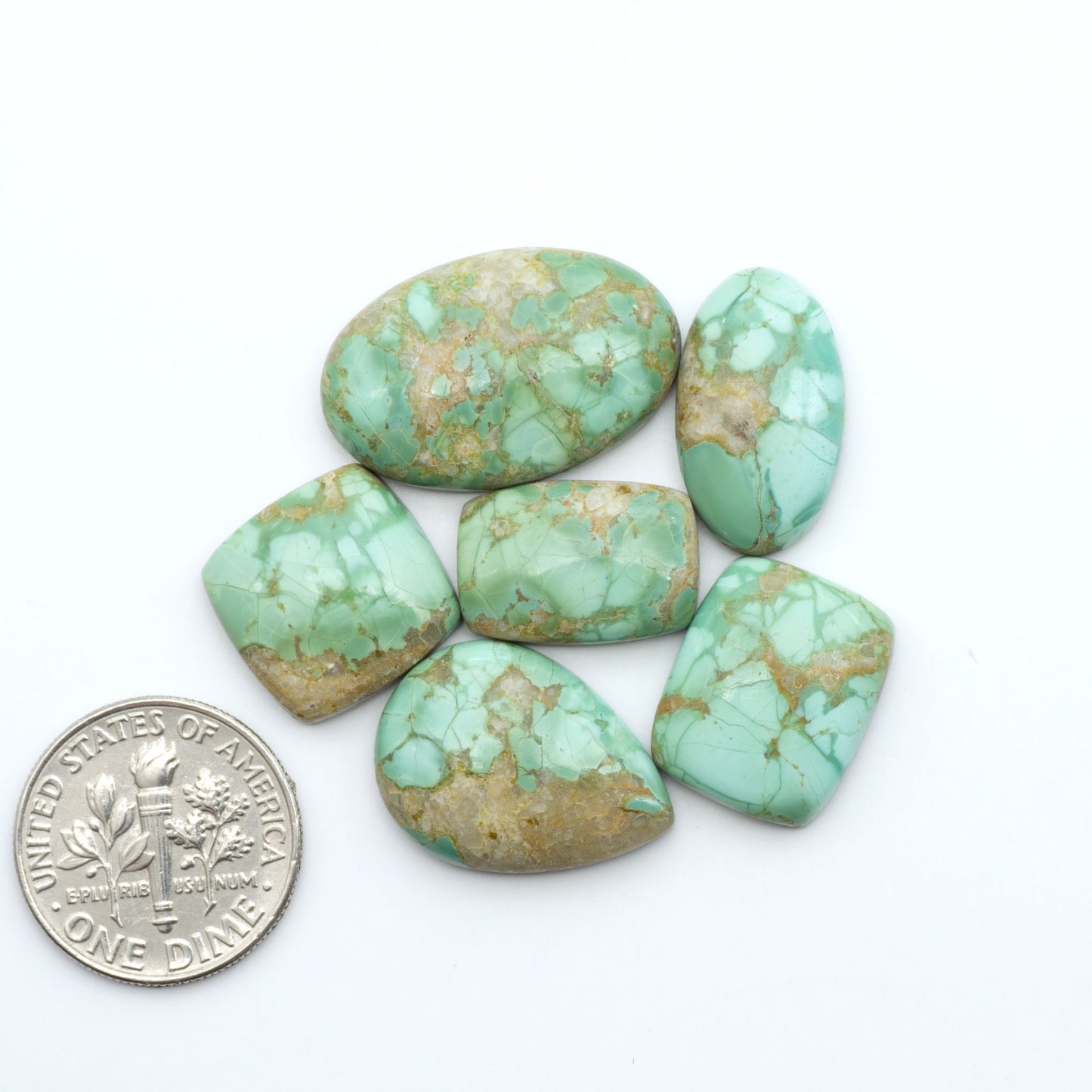 Pilot Mountain Turquoise cabochons, blue-green gemstones with natural matrix on a white background with a US dime for scale