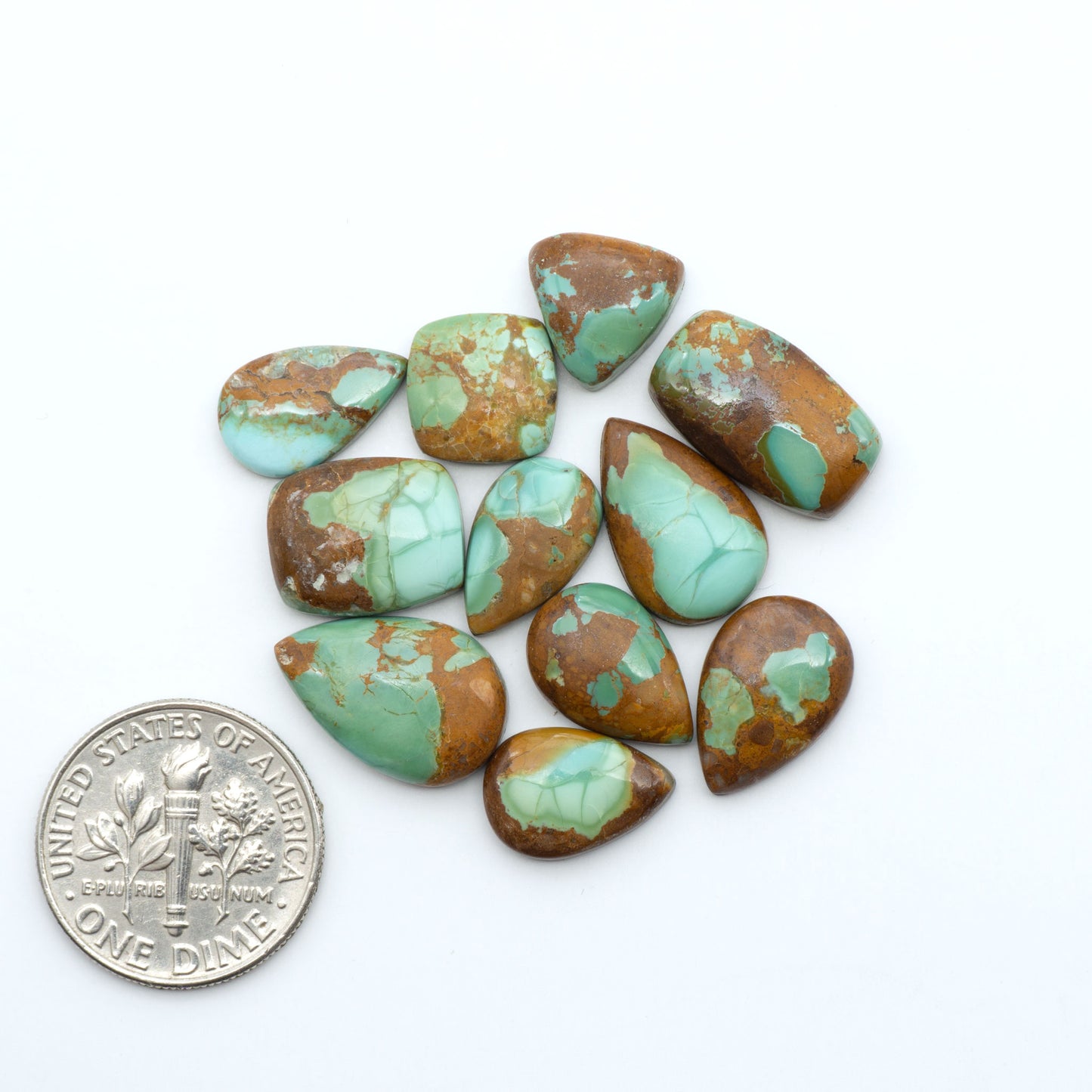 Pilot Mountain Turquoise cabochons, blue-green gemstones with natural matrix on a white background with a US dime for scale