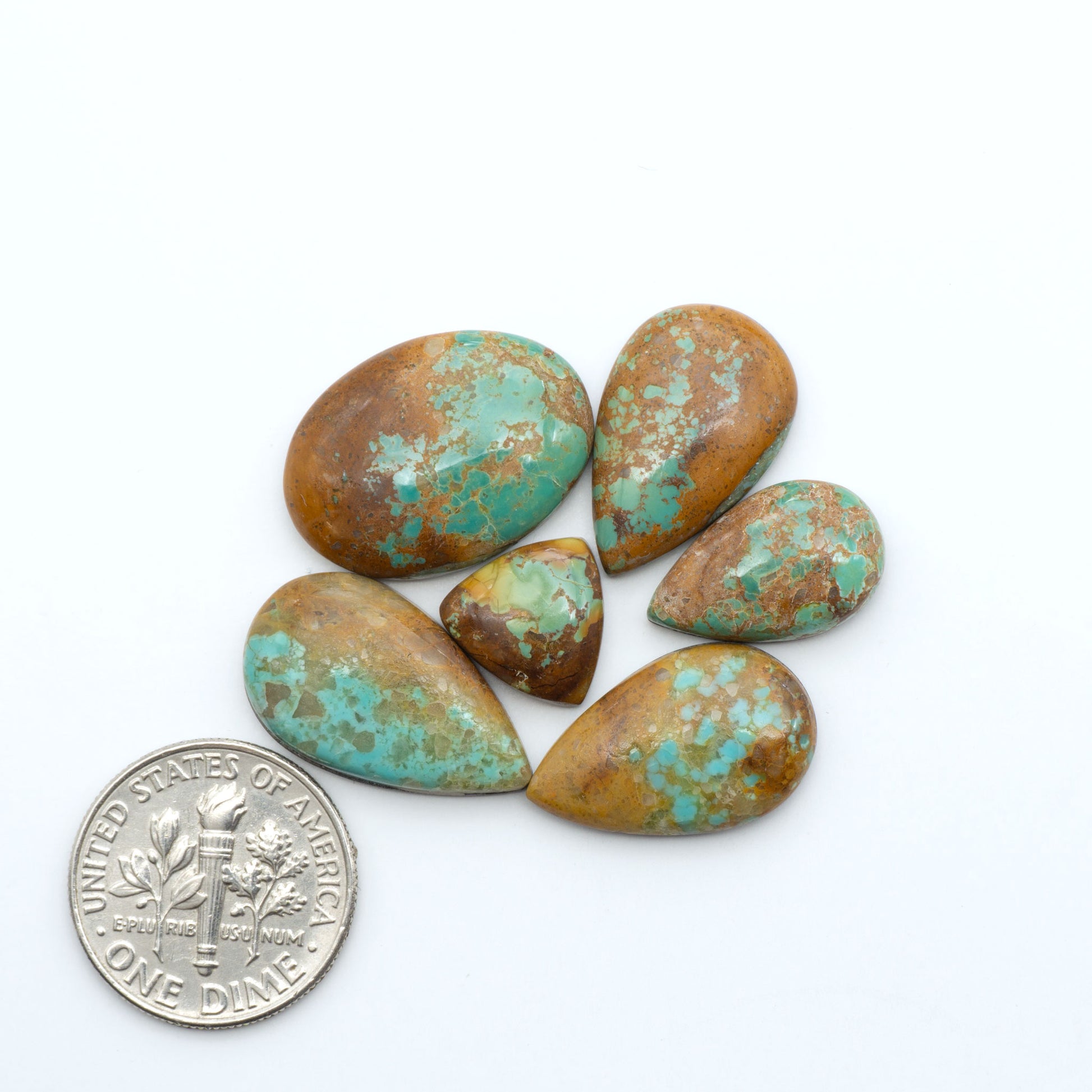 Pilot Mountain Turquoise cabochons, blue-green gemstones with natural matrix on a white background with a US dime for scale