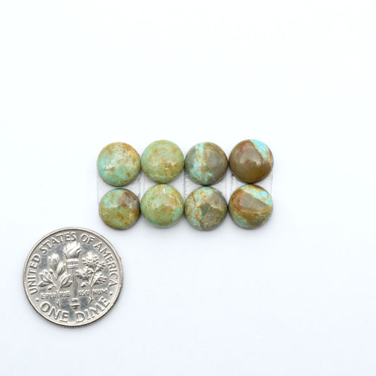 Number 8 Turquoise cabochons, blue and green color with brown matrix, polished stones on a white background, with a US dime for scale