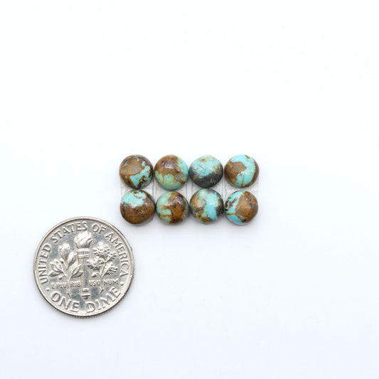 Number 8 Turquoise cabochons, blue and green color with brown matrix, polished stones on a white background, with a US dime for scale
