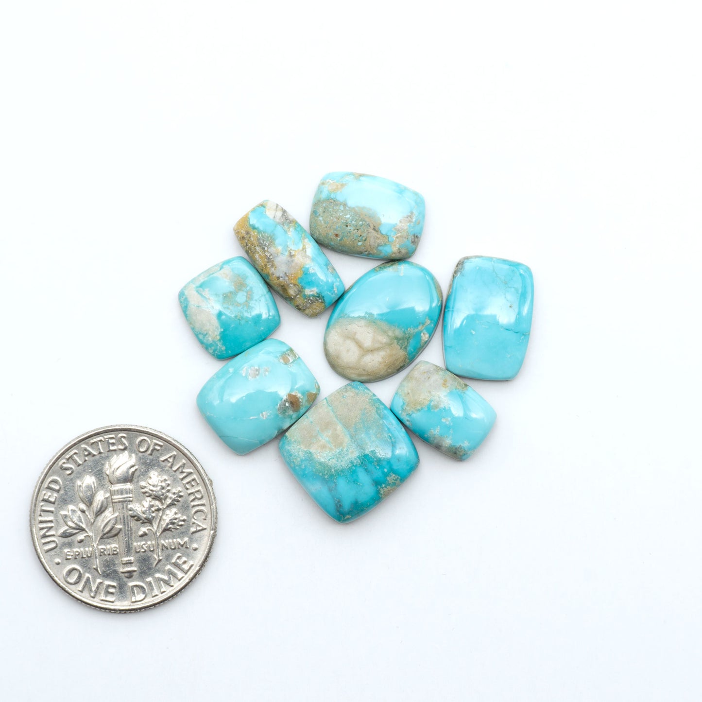 Fox Turquoise cabochons, polished gemstones with natural matrix on a white background, with a US dime for scale