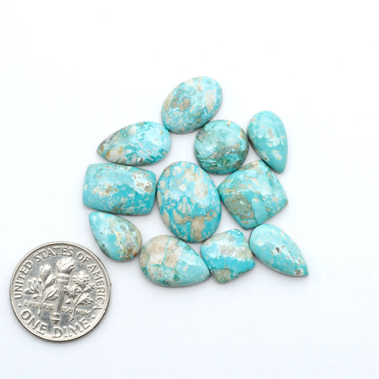 Fox Turquoise cabochons, polished gemstones with natural matrix on a white background, with a US dime for scale