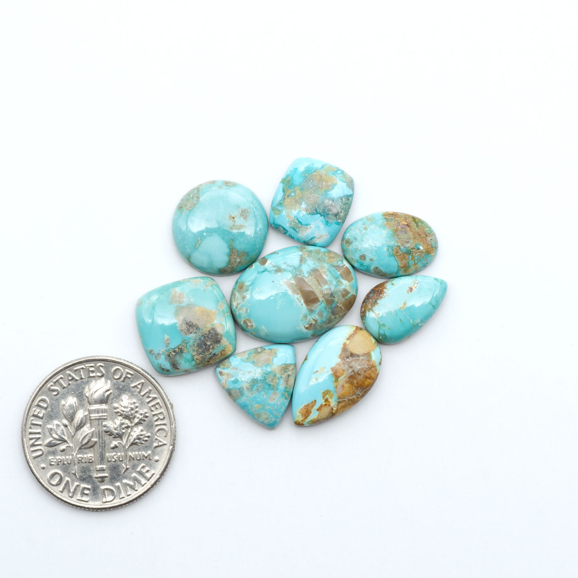 Fox Turquoise cabochons, polished gemstones with natural matrix on a white background, with a US dime for scale