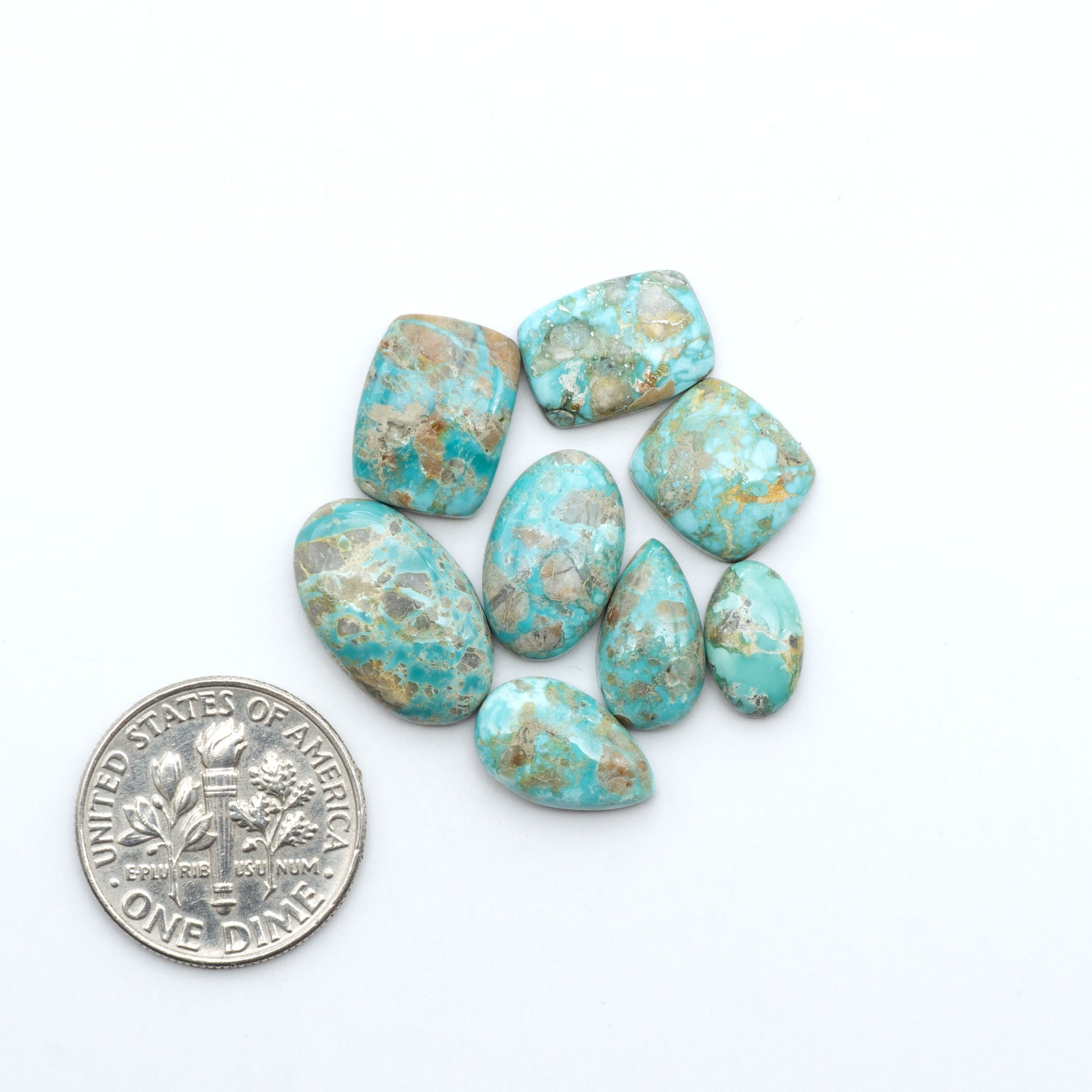 Fox Turquoise cabochons, polished gemstones with natural matrix on a white background, with a US dime for scale