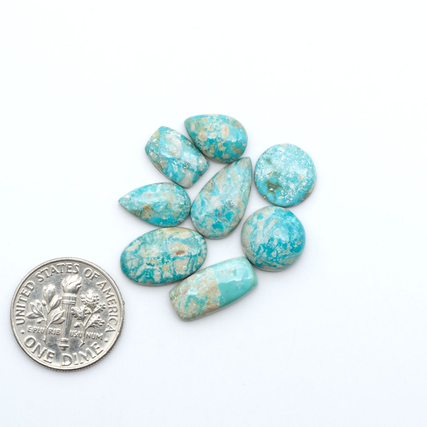 Fox Turquoise cabochons, polished gemstones with natural matrix on a white background, with a US dime for scale