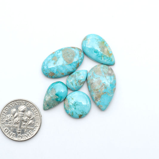 Fox Turquoise cabochons, polished gemstones with natural matrix on a white background, with a US dime for scale