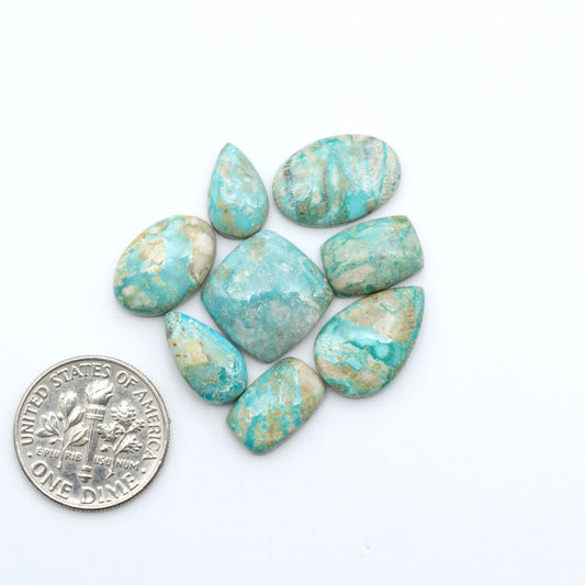 Fox Turquoise cabochons, polished gemstones with natural matrix on a white background, with a US dime for scale