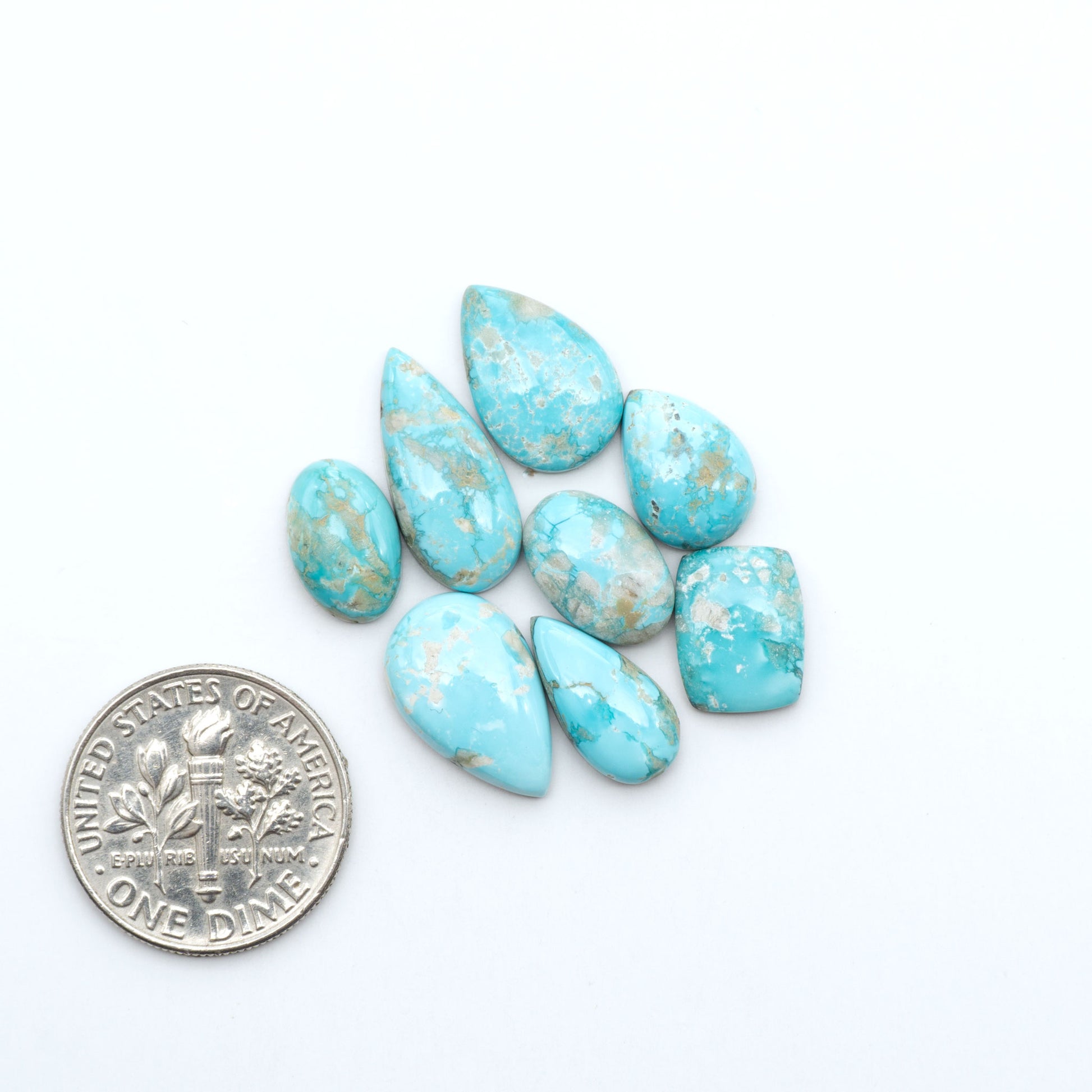 Fox Turquoise cabochons, polished gemstones with natural matrix on a white background, with a US dime for scale