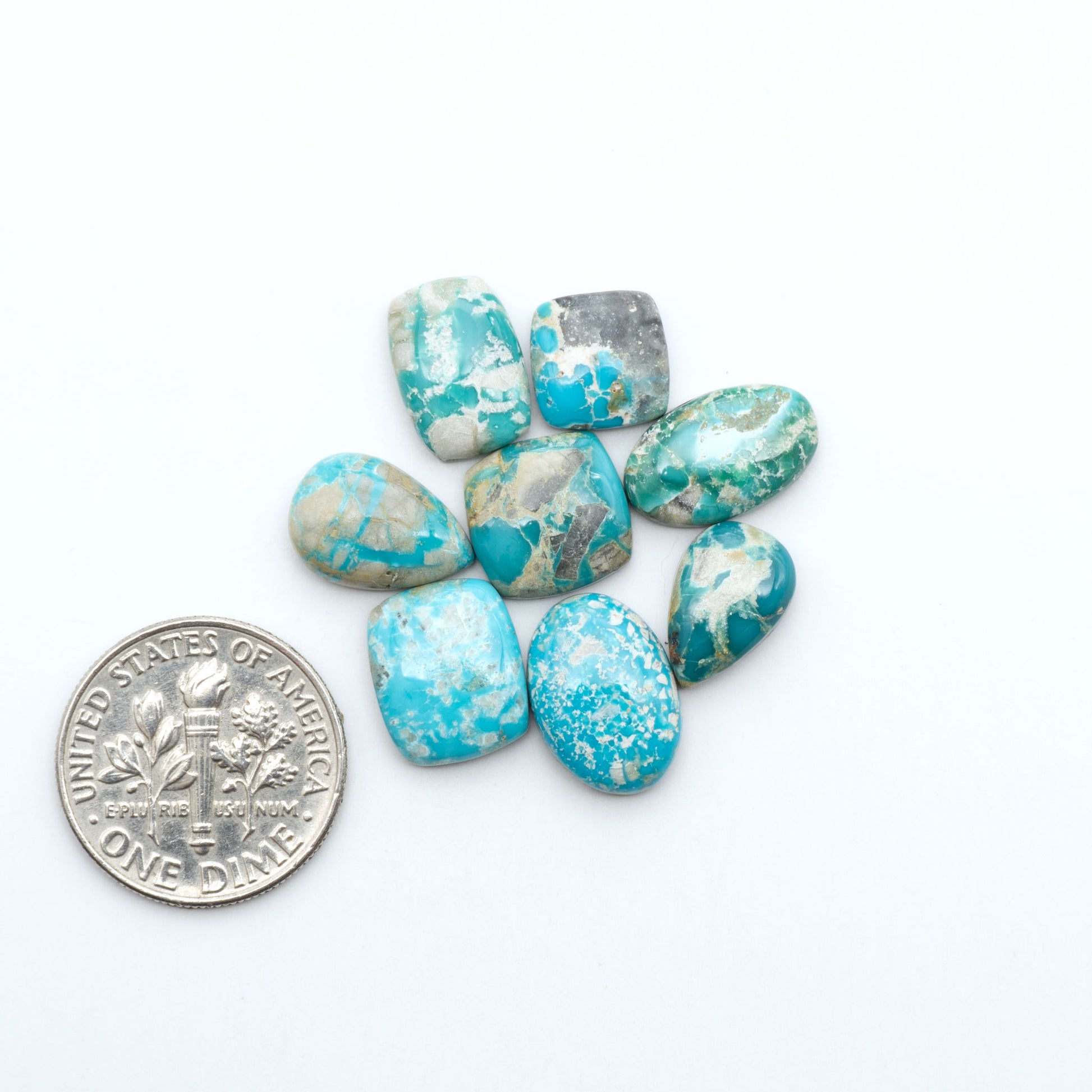 Fox Turquoise cabochons, polished gemstones with natural matrix on a white background, with a US dime for scale
