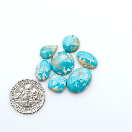 Fox Turquoise cabochons, polished gemstones with natural matrix on a white background, with a US dime for scale