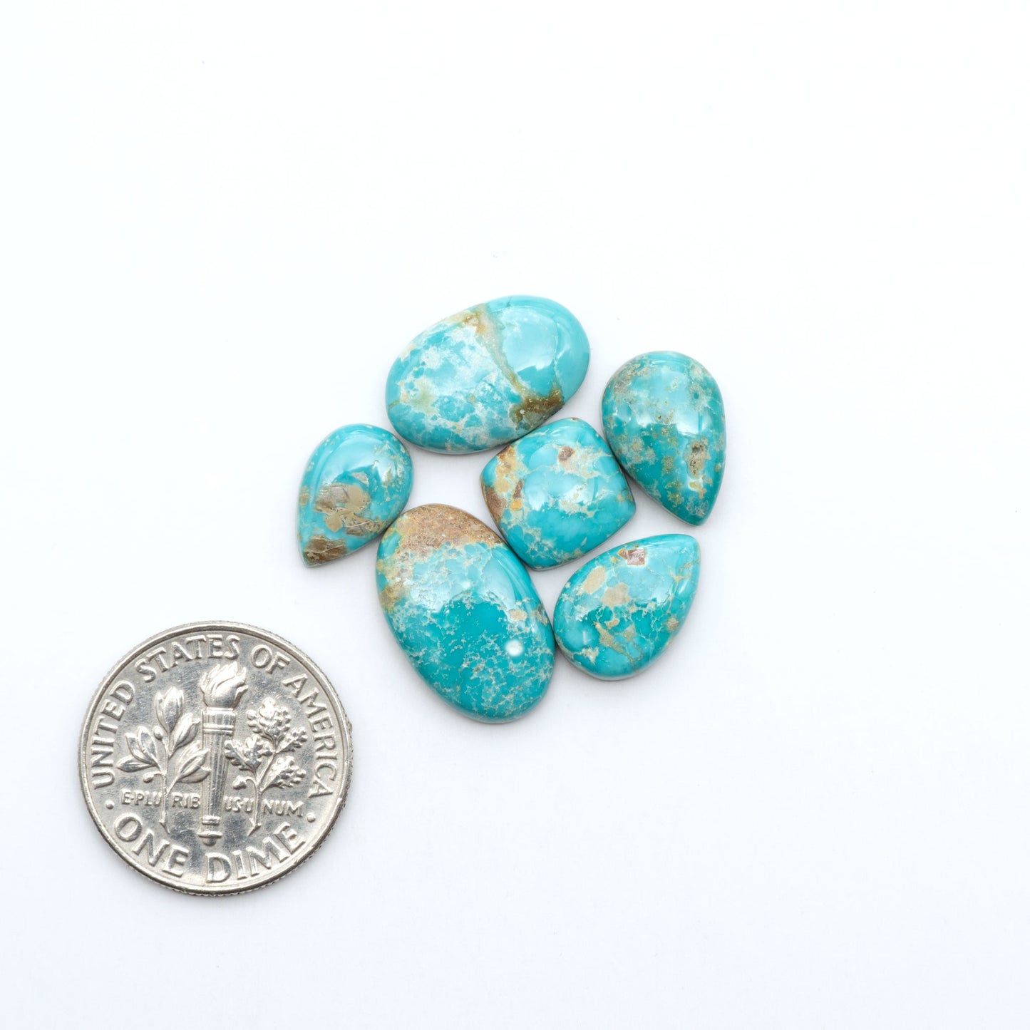 Fox Turquoise cabochons, polished gemstones with natural matrix on a white background, with a US dime for scale