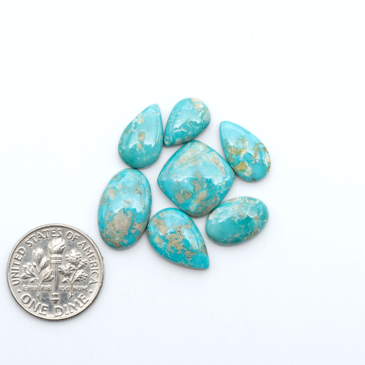 Fox Turquoise cabochons, polished gemstones with natural matrix on a white background, with a US dime for scale