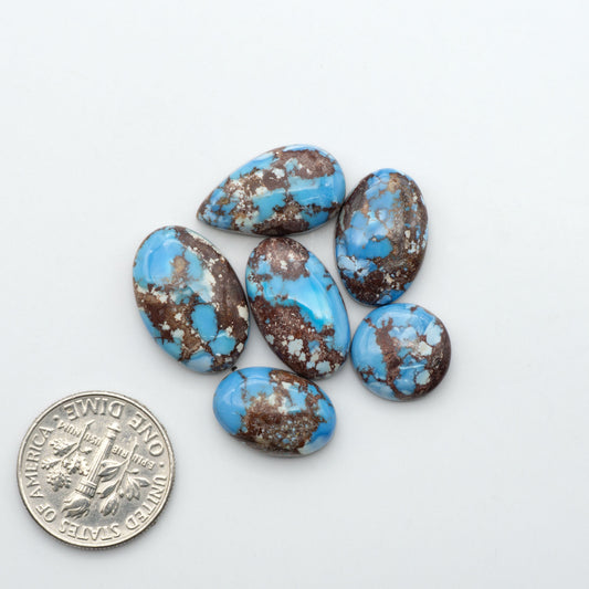 Golden Hills Turquoise cabochons, icy blue to lavender tones with chocolate matrix, polished stones on a white background with a US dime for scale