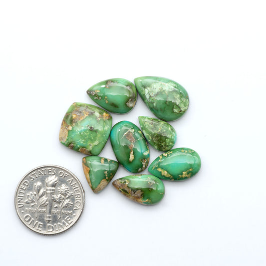 Sonoran Mountain Turquoise cabochons, blue-green color with natural matrix, polished stones on a white background, with a US dime for scale