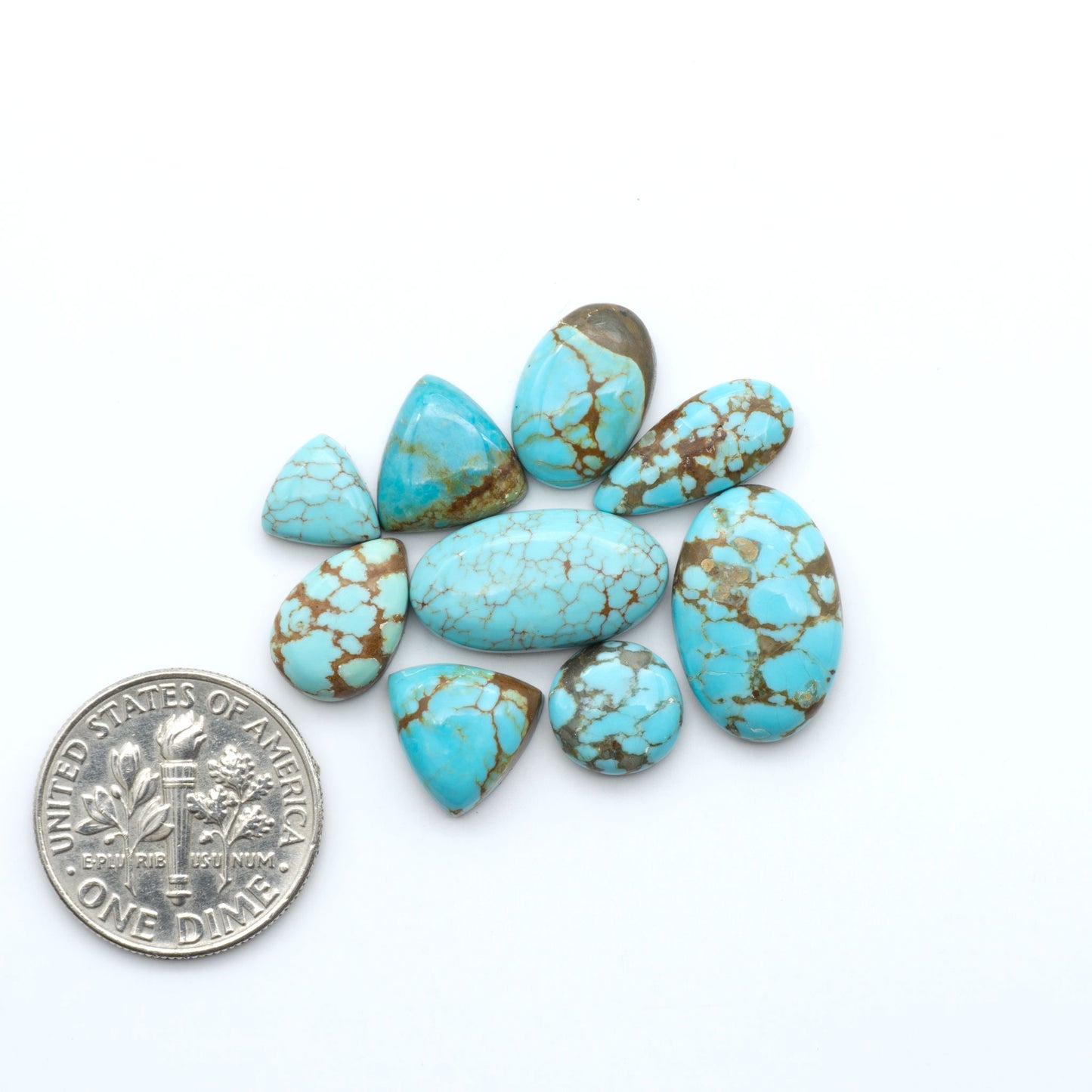 Number 8 Turquoise cabochons, blue and green color with brown matrix, polished stones on a white background, with a US dime for scale