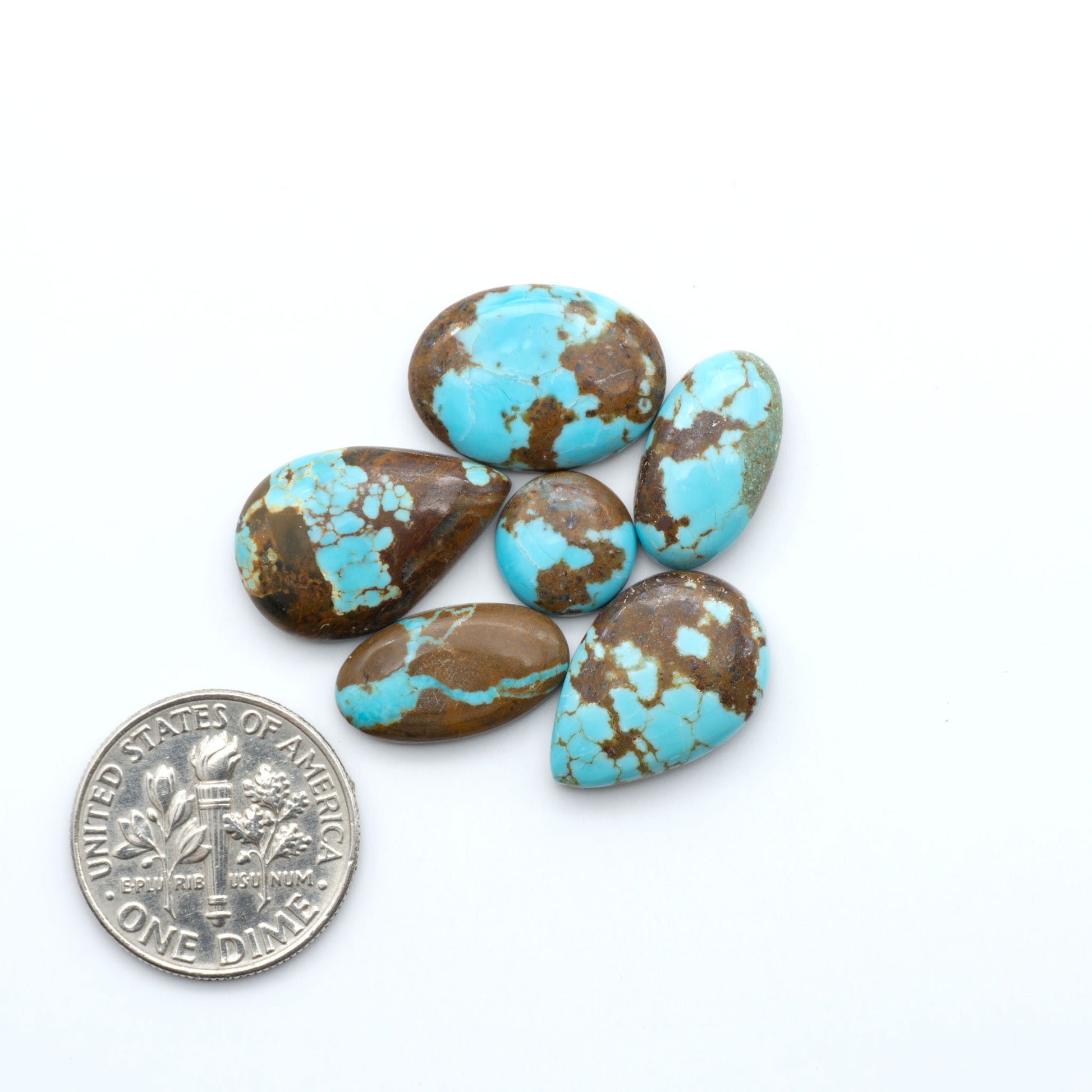Number 8 Turquoise cabochons, blue and green color with brown matrix, polished stones on a white background, with a US dime for scale