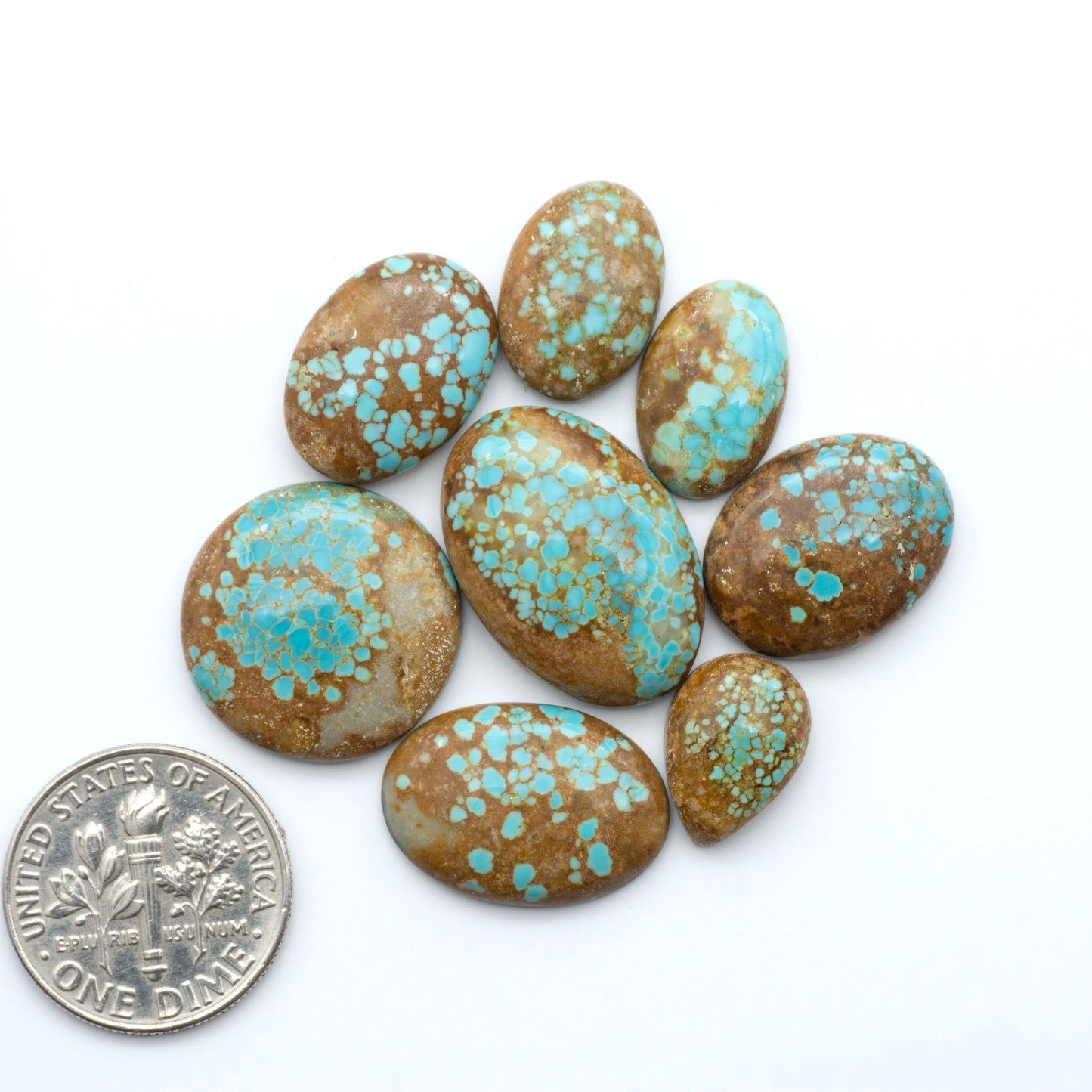Number 8 Turquoise cabochons, blue and green color with brown matrix, polished stones on a white background, with a US dime for scale