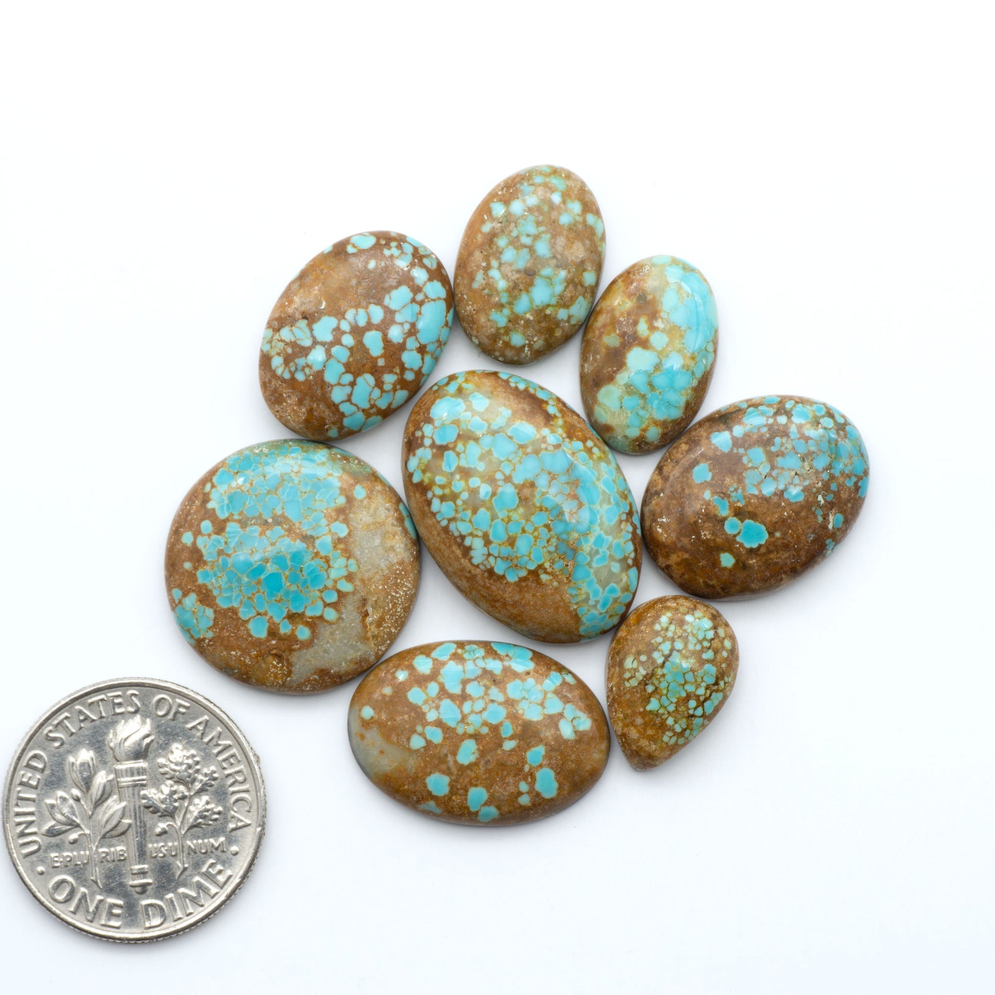 Number 8 Turquoise cabochons, blue and green color with brown matrix, polished stones on a white background, with a US dime for scale