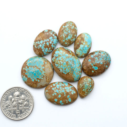 Number 8 Turquoise cabochons, blue and green color with brown matrix, polished stones on a white background, with a US dime for scale