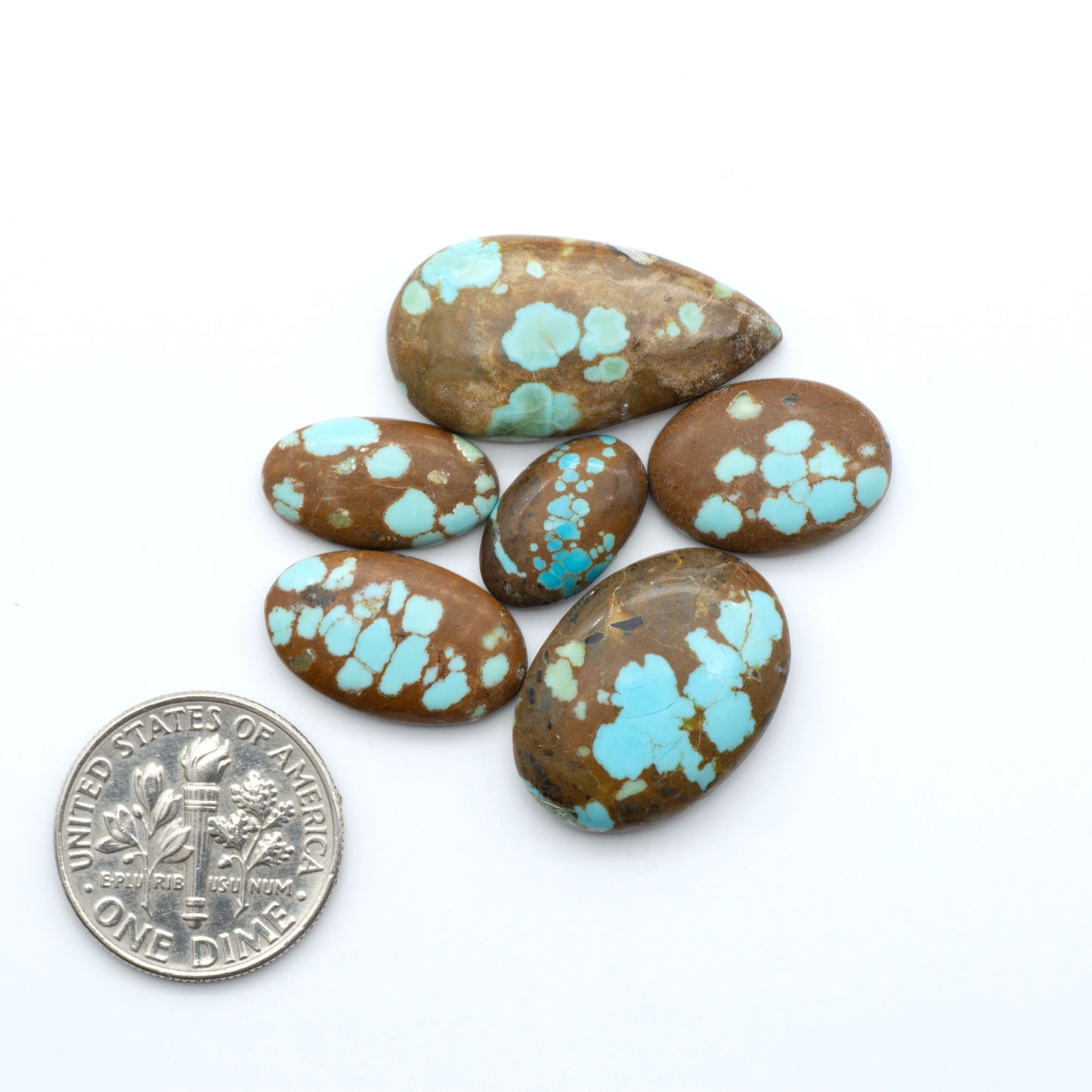 Number 8 Turquoise cabochons, blue and green color with brown matrix, polished stones on a white background, with a US dime for scale