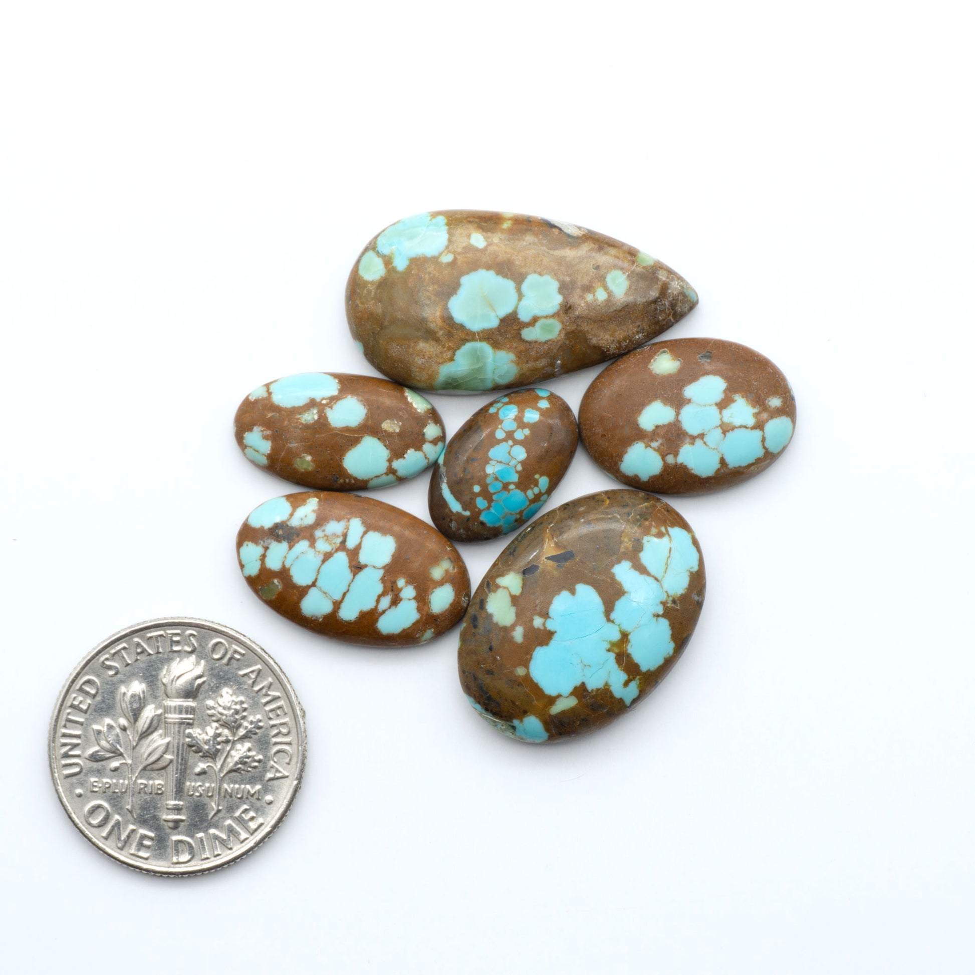 Number 8 Turquoise cabochons, blue and green color with brown matrix, polished stones on a white background, with a US dime for scale