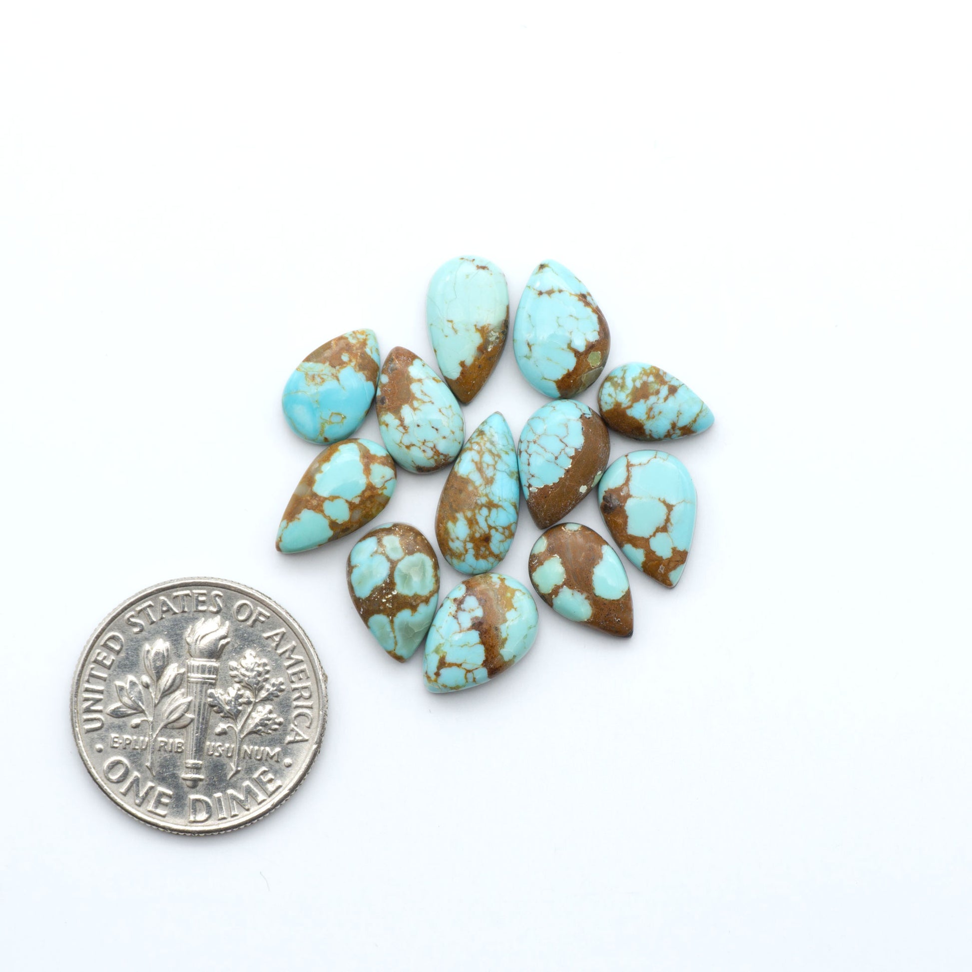 Number 8 Turquoise cabochons, blue and green color with brown matrix, polished stones on a white background, with a US dime for scale