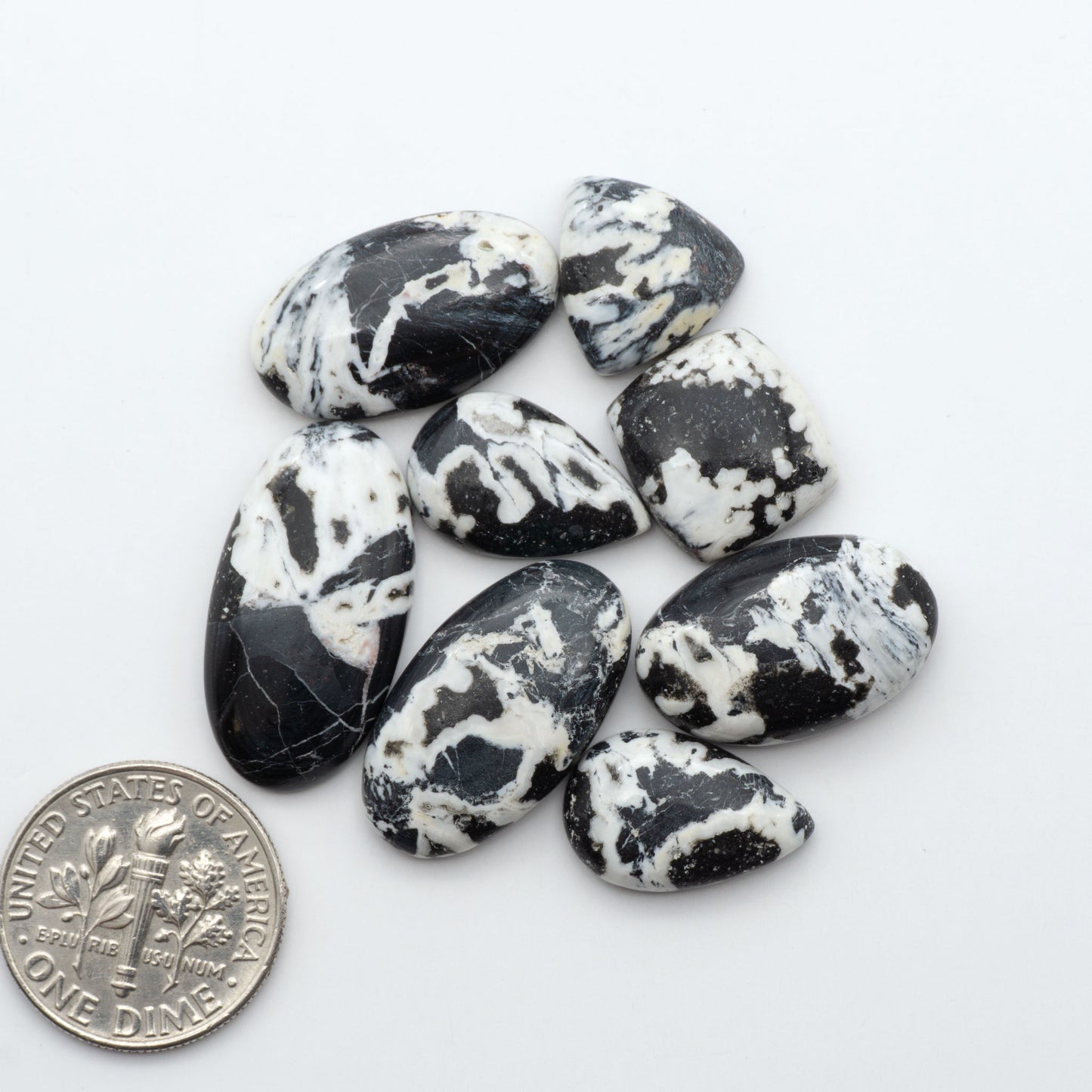 White Buffalo stone cabochons, white stone with black matrix, polished stones on a white background, with a US dime for scale
