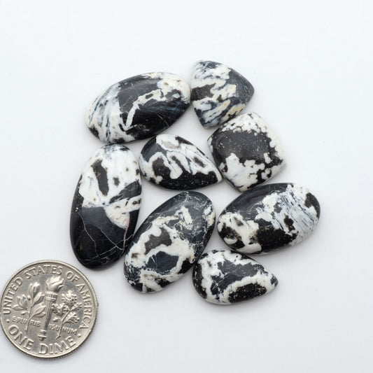 White Buffalo stone cabochons, white stone with black matrix, polished stones on a white background, with a US dime for scale